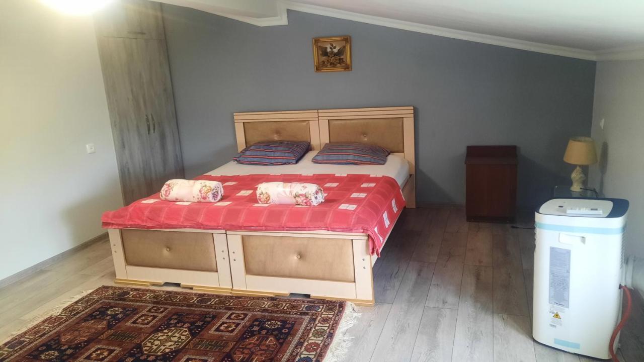 Victoria Guesthouse クタイシ 部屋 写真